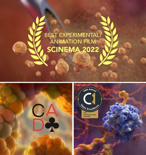 xciveo|XVIVO Scientific Animation .